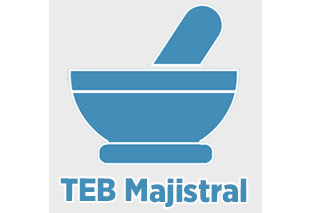 TEB MAJİSTRAL