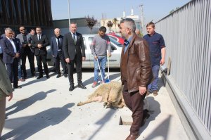 SELÇUK ECZA DEPOSU A.Ş. KONYA YENİ HİZMET BİNASI AÇILIŞI