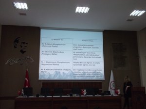 Hemeopati Eğitimi