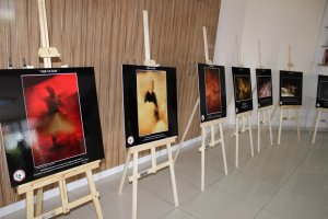Fotoğraf Sanatçısı Ecz. Reha BİLİR ve Akın ACAR' ın Çığlık İsimli Fotoğraf Sergisi Açılışı Yapıldı.